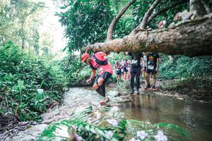 BIB: 
                            <button type="button" onclick="openModal(25453325)" class="btn btn-primary btn-sm float-right btn-popup" data-toggle="modal" data-target=".modal-high-quality">
                        <i class="fas fa-shopping-cart"></i> Add to Cart
                    </button>
                                            <button type="button" onclick="isThisMe(25453325, true)" class="btn btn-success btn-sm float-right btn-popup btn-isme hidden" data-toggle="tooltip" data-placement="bottom" title="นี่คือรูปของคุณใช่ไหม คลิกที่นี่เพื่อเอาเข้าอัลบั้ม">
                        <i class="fas fa-plus"></i> Add to album
                    </button>
                    <button type="button" onclick="isThisMe(25453325, false)" class="btn btn-warning btn-sm float-right btn-popup btn-isnotme hidden">
                        <i class="fas fa-ban"></i> Remove from album
                    </button>